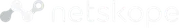 Netskope
